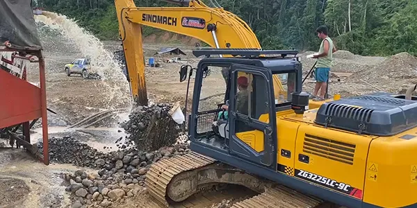 Excavadora de cadenas ZG220