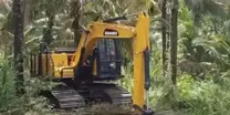 Excavadora forestal ZG135HF