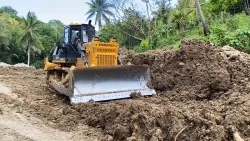 Bulldozer hidráulico sobre orugas YD220