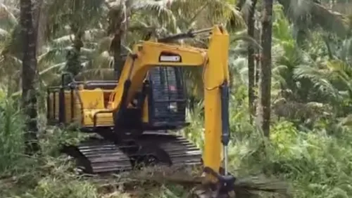 Excavadora forestal ZG135HF