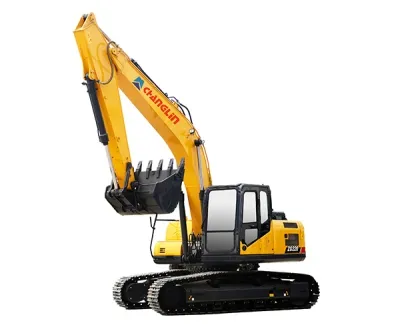 Excavadora de cadenas ZG220