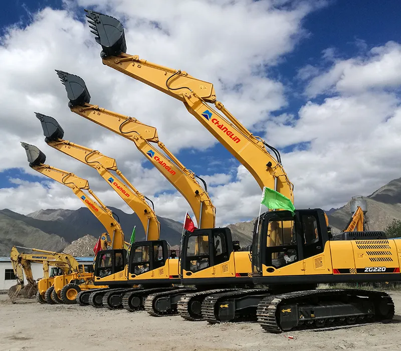 Excavadora de cadenas ZG220