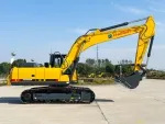 Excavadora de cadenas ZG220N