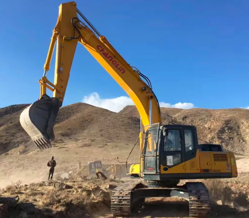 Excavadora de cadenas ZG250
